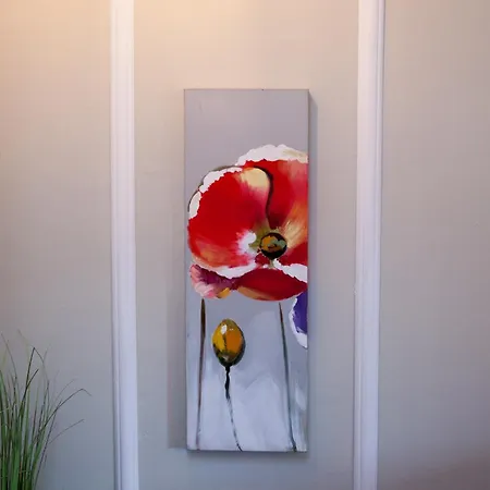 Alba * San Damiano d'Asti