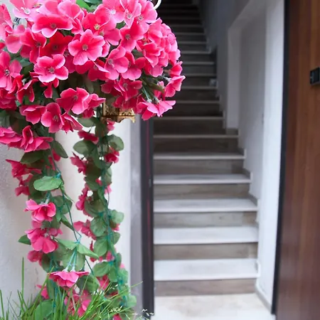 Alba * San Damiano d'Asti