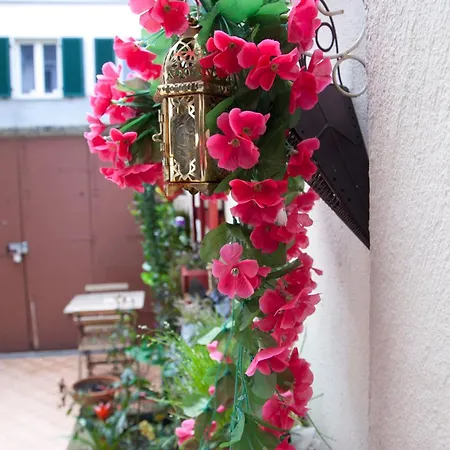 Alba Апартаменты